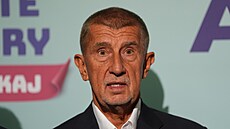Zahájení hlavní fáze kampan� hnutí ANO ke komunálním a senátním volbám. Na...