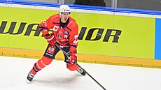 Roman �ervenka na puku
