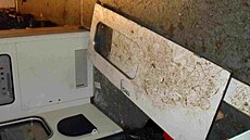 Fanou�ci Zbrojovky poni�ili vlak, který je vezl na utkání se Slavií. (5. zá�í...