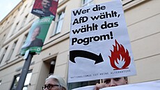 Po prvních výsledcích voleb v Sasku-Anhaltsku vy�li n�kte�í odp�rci AfD do ulic...