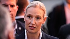 Spolup�edsedkyn� AfD Alice Weidelová. (6. zá�í 2026)