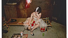 Trixie na lehátku v New Yorku (1979)