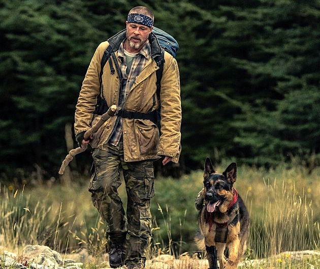 RECENZE: V srdci divočiny si Brad Pitt honorář tvrdě vydřel. Ale jeho vlčák vede