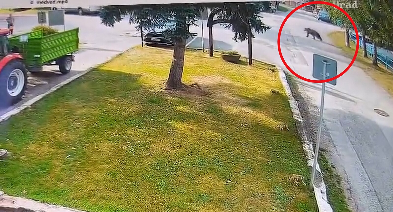 V obci Blatnica na úpatí Velké Fatry přeběhl medvěd po návsi, poškrábal starší ženu