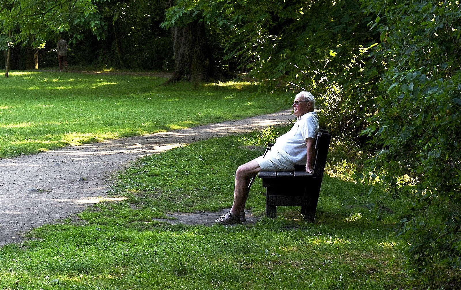 I cesta, ale aktivní, je cíl. Sval je přehlíženým orgánem zdravého stárnutí | Názory
