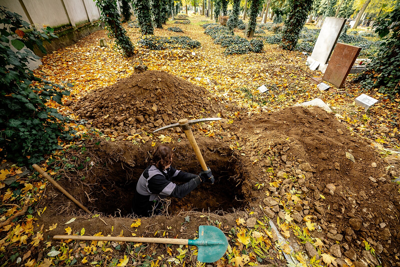 Volby 2026: Kandidují dráteníci, hrobníci i kouzelníci. Do Senátu míří Pecková