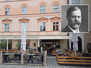 Sigmund Freud (ve vý�ezu jeho fotografie z p�elomu 19. a 20. století) si v...