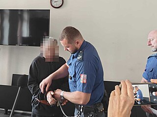 Ob�alovaný Gejza H. u Krajského soud v Plzni.