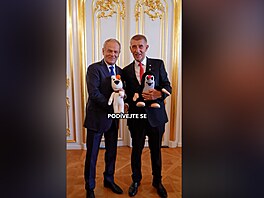 Krte�ek za �esko, Reksio za Polsko. Babi� se setkal s Tuskem