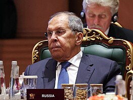 Sergej Lavrov (12. zá�í 2026)