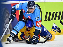 Liberecký Jaroslav Vlach v utkání Ligy mistr� proti Herningu.