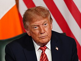 Americký prezident Donald Trump b�hem setkání s irským premiérem Micheálem...