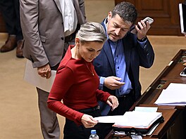 �éfka poslanc� ANO Ta�ána Malá a místop�edseda Sn�movny Patrik Nacher za ANO na...