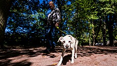 Havl�­Ä�kův Brod upravil dalš�­ Ä�ást stolet�©ho parku, přibyla odpoÄ�inková m�­sta