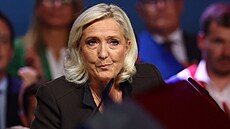 P�edvolební mítink Marine Le Penové ve m�st� Henin-Beaumont na severu Francie...