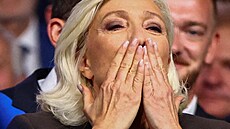P�edvolební mítink Marine Le Penové ve m�st� Henin-Beaumont na severu Francie...