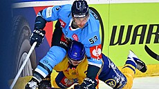 Liberecký Jaroslav Vlach v utkání Ligy mistr� proti Herningu.
