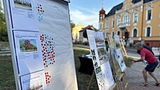 V Litom��icích lidé ve ve�ejném hlasování podpo�ili výsadbu �erveného buku,...