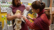 Veterinární kontrola sup�.