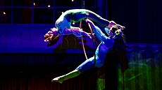 �aldovo divadlo uvádí hru Cirkus Humberto.