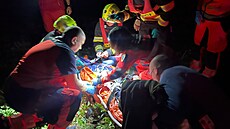 Mladá motorká�ka se v táborské �ásti Horky st�etla se srnou. Do nemocnice...