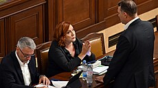 Ministr vnitra za ANO Lubomír Metnar, ministryn� financí za ANO Alena...