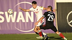 Demitra vyr�stal fotbalov� v Tren�ín�, zkusil si ale rovn� fotbal v St. Louis,...