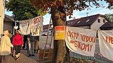 Dva vzrostlé ka�tany na rohu Da�ické a Zají�kovy ulice v Pardubicích mají...