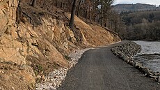 Cyklostezka z Dalovic do V�eborovic je z�ásti asfaltová, z�ásti pak �otolinová....