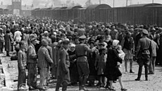 Selekce v Osv�timi. Tábor pro�el od roku 1940, kdy v n�m skon�il Pilecki,...