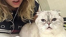 Taylor Swift a její ko�ka (2017)