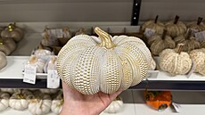 Dýn� za 175 K�