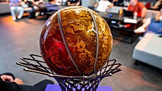 Pohár pro �ampiony Maxa NBL