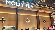 Prodejna Molly Tea v Singapuru (16. srpna 2026)