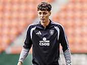 Kapitán �eské fotbalové reprezentace Ladislav Krej�í.