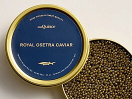 Osetra je dal�í prémiový druh kaviáru, jeho� cena se m��e pohybovat v �ádu...