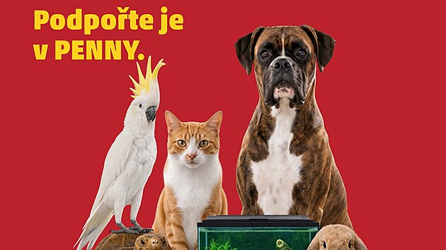 Penny rozj�d� sb�rku na podporu mazl��k�. Z�kazn�ci mohou p�isp�vat p��mo v prodejn�ch 3. a 4. ��jna.
