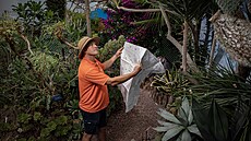 Tom dr�í papírové plány své �Sv�tové zahrady� (World Garden), které vypracoval...
