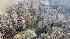 Letecký snímek zachycuje revitalizované území u potoka Na D�lském na T�ínsku,...