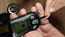 M��ení hladiny cukru v krvi pomocí glukometru pat�í k základním zp�sob�m...