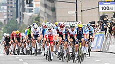 Peloton projí�dí cílovou rovinkou v hromadném závod� mistrovství sv�ta.