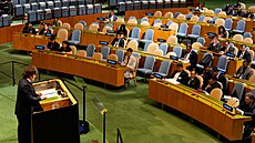 Argentinský prezident Javier Milei na zasedání Valného shromá�d�ní OSN (23....