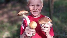 Spor�ák na lovu má v ruce h�ib smrkový a k�emená�e osikové z �eského...