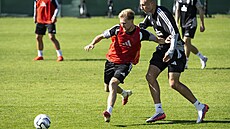 Trénink �eské fotbalové reprezentace. Martin �ubert si kryje mí� p�ed Ond�ejem...