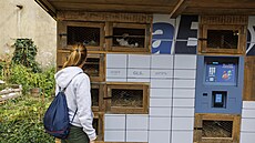 V komunitní zahrad� brn�nské Káznice p�ibyla v rámci festivalu Faktor K nová...