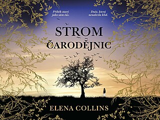 Strom �arod�jnic