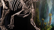 Dinosauria Museum Prague slaví p�t let. Náv�t�vník�m poprvé p�edstaví novou...