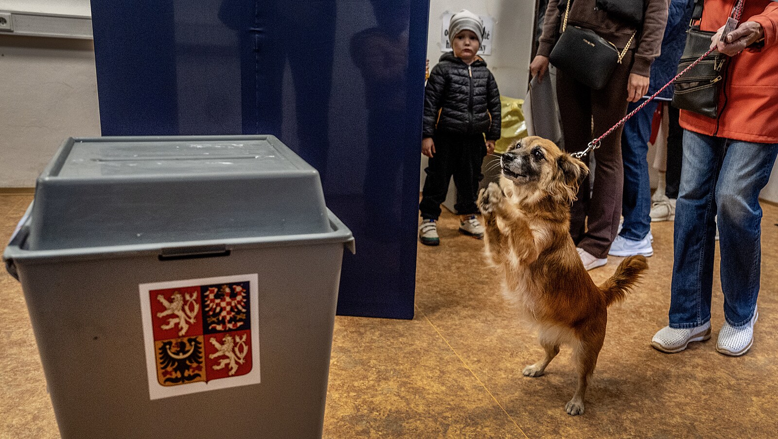 Změna trvalého bydliště těsně před volbami: Kdy mohou soudy volby zneplatnit