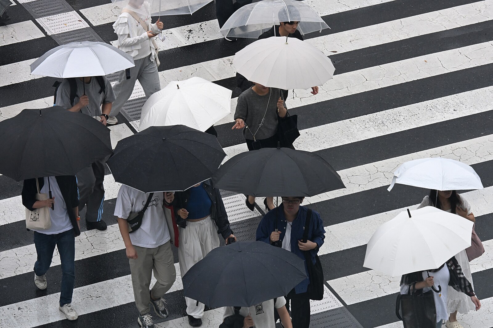 Pršelo sedmatřicet dní v řadě. Tokio zažilo nejdelší sérii deště od začátku měření