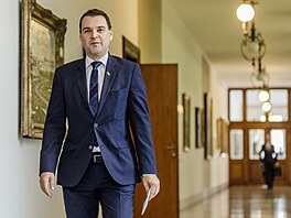Jednání vlády. Financování asistent� pedagoga v základních �kolách. Na snímku...